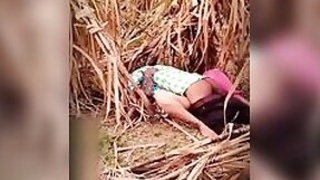 Husband caught wife fucking her lover outdoors in the jungle, Desi MMC sex